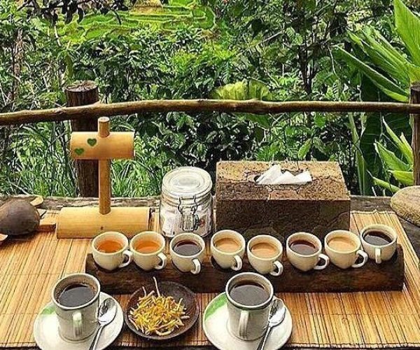 coffee1